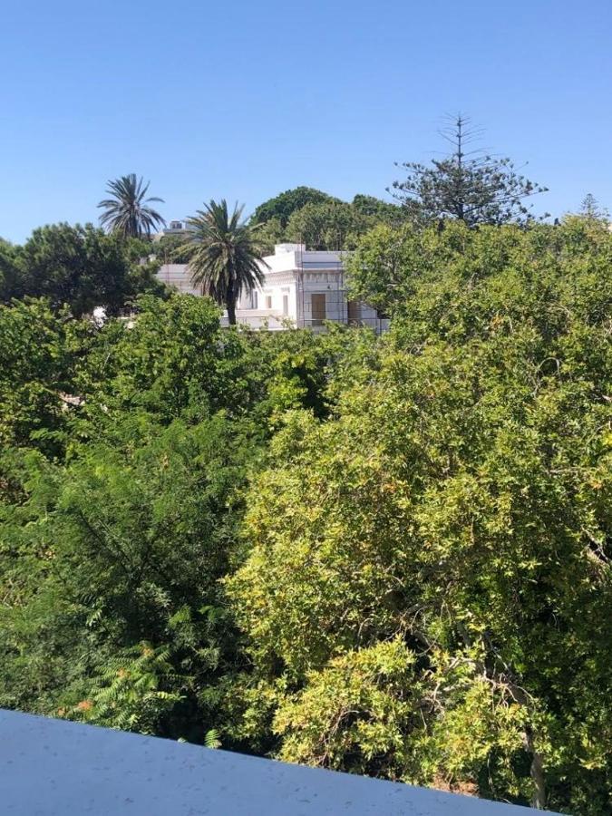 Paraskevi's - Center W/ Lovely Park View